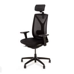 Кресло Dion M c подголовником